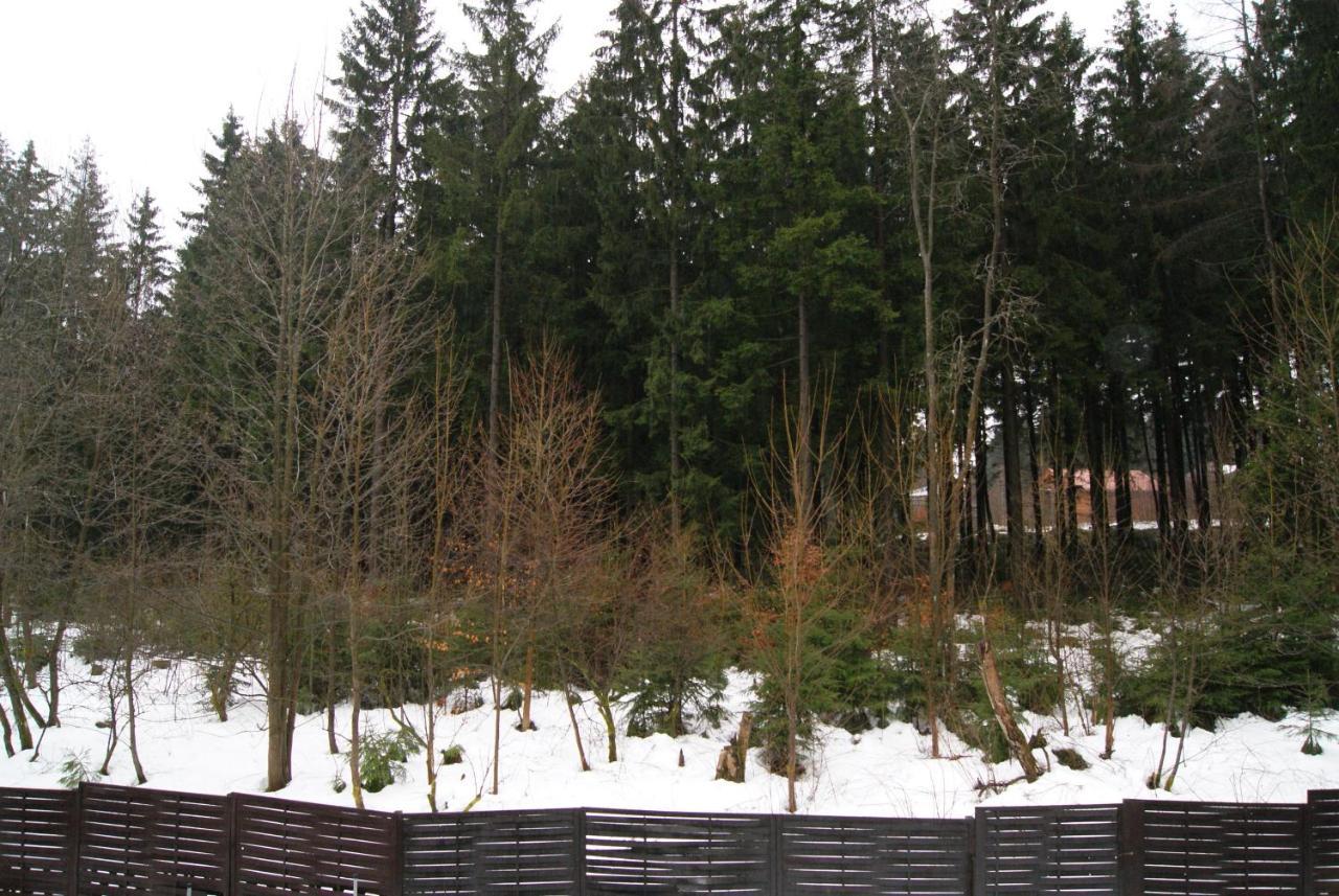 Fewo Adler 2-6 Personen Braunlage Buitenkant foto